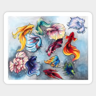 Betta Fish Sticker